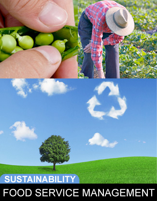 Managed Services - Sustainability
