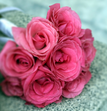 Partners - Florists