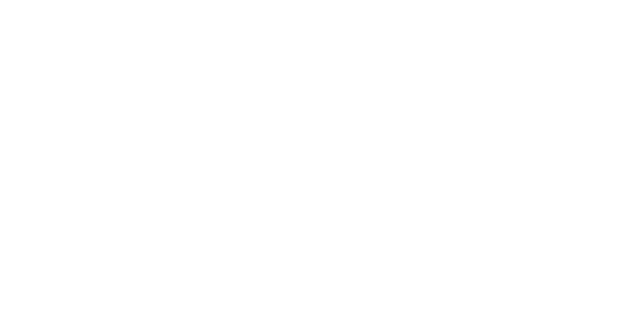 Lessing's Hospitality Group