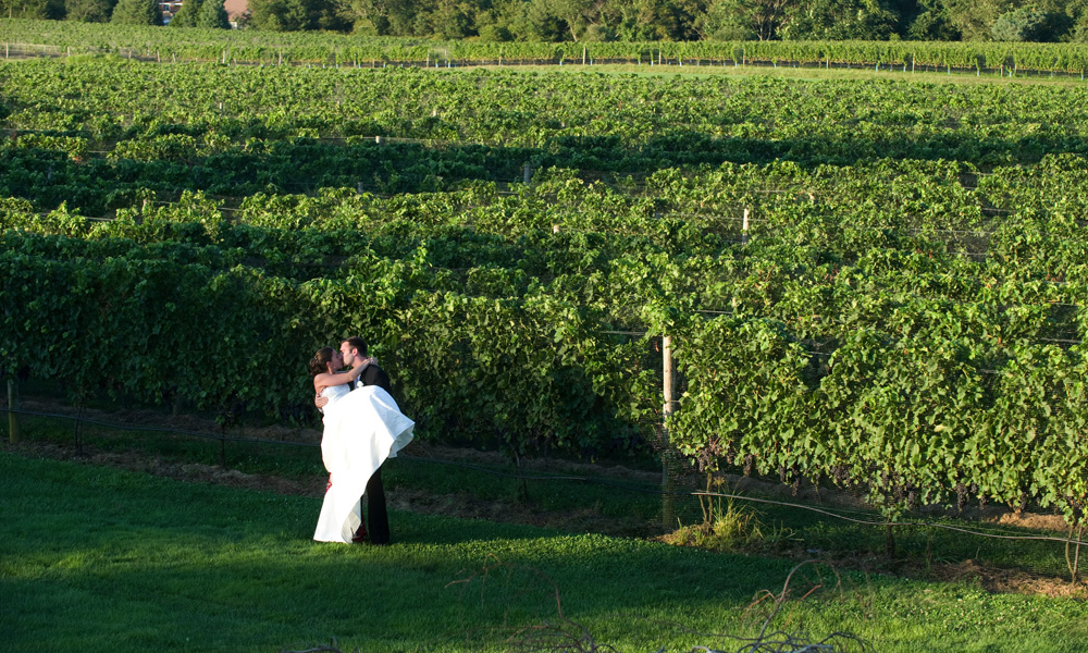 Lessings The Vineyards at Aquebogue Long  Islands North  