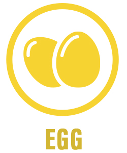 Egg