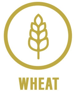 Wheat