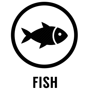 Contains Fish
