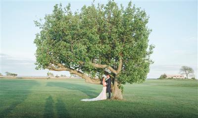View Photo #4 - Couple under tree