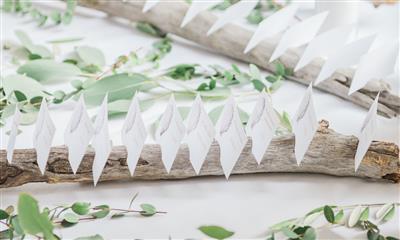 View Photo #14 - Escort Cards