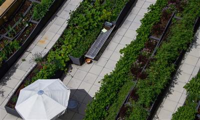 View Photo #1 - SCGP Rooftop Garden 