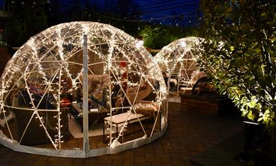 View Photo #3 - The Igloos