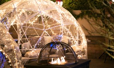 View Photo #1 - The Igloos