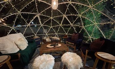 View Photo #2 - The Igloos