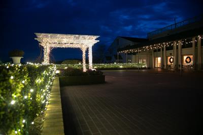 View Photo #14 - 