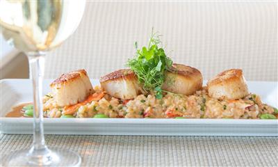View Photo #16 - Scallops