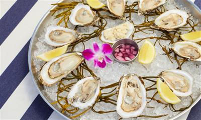 View Photo #13 - Oysters