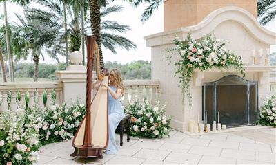 View Photo #41 - Harpist