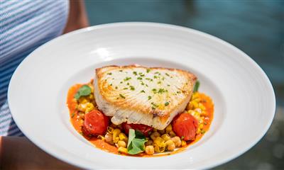 View Photo #12 - Swordfish