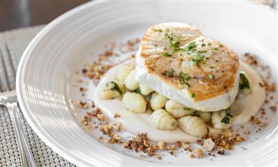 View Photo #4 - Swordfish